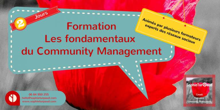 Formation Les Fondamentaux Du Community Management Via Sophieturpaud