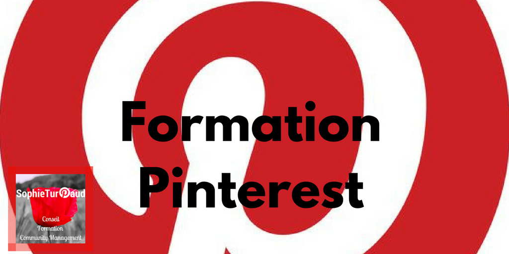 Formation Pinterest via @sophieturpaud