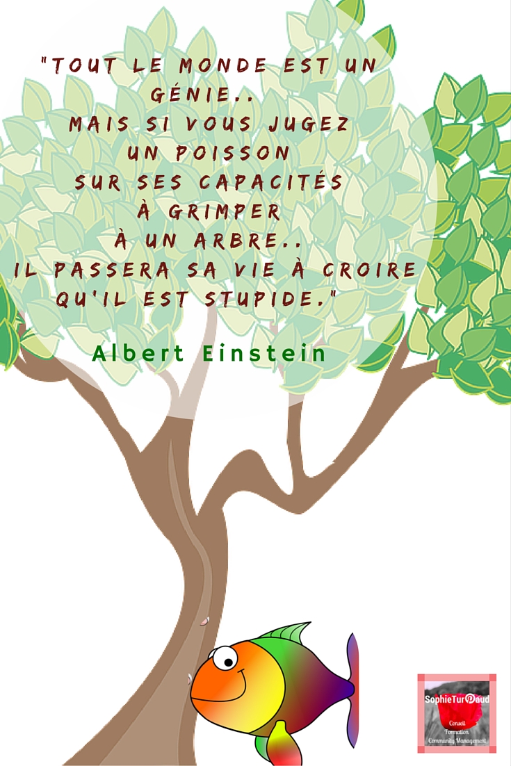 Les citations inspirantes Agence SophieTurpaud