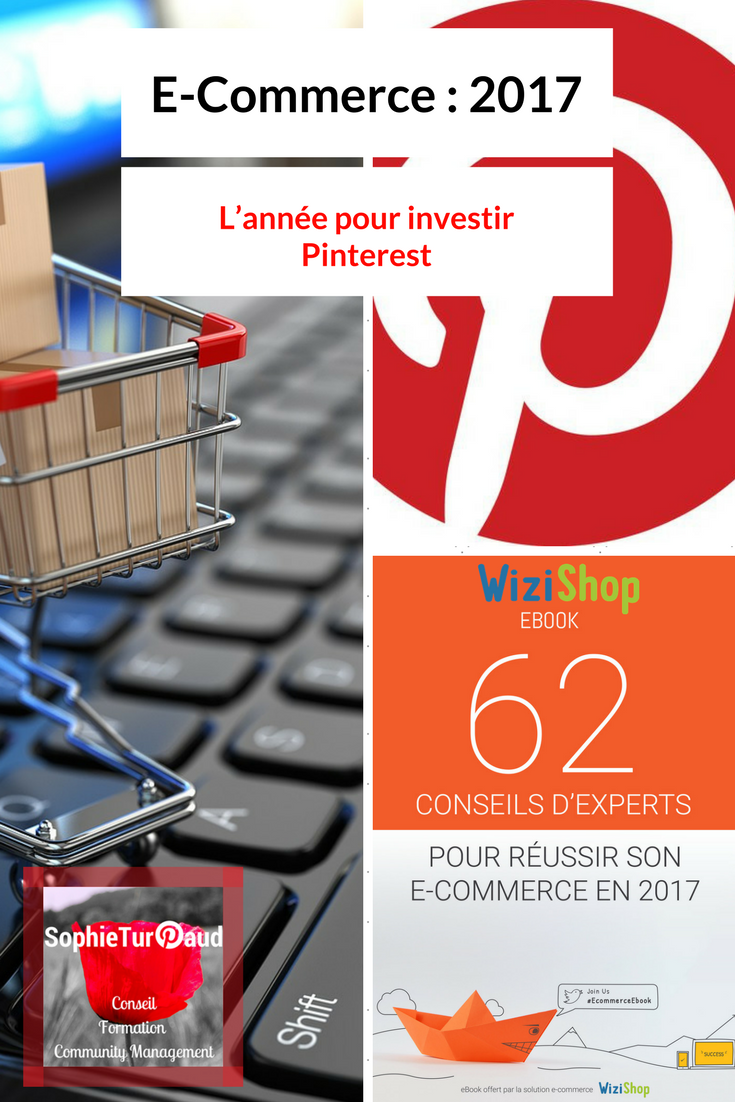 E-Commerce : 2017, l’année pour investir Pinterest