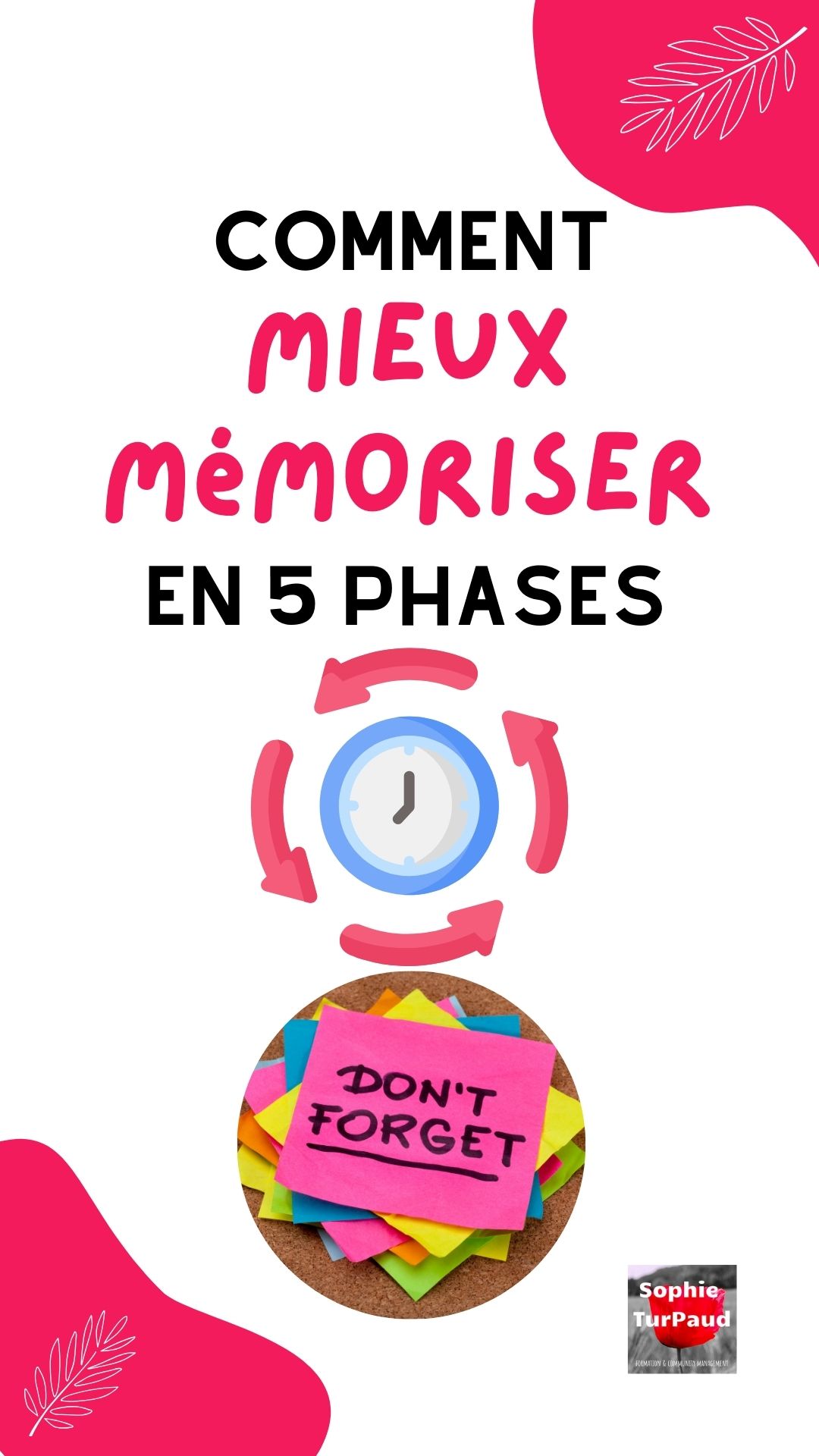 Les 5 phases pour mieux mémoriser