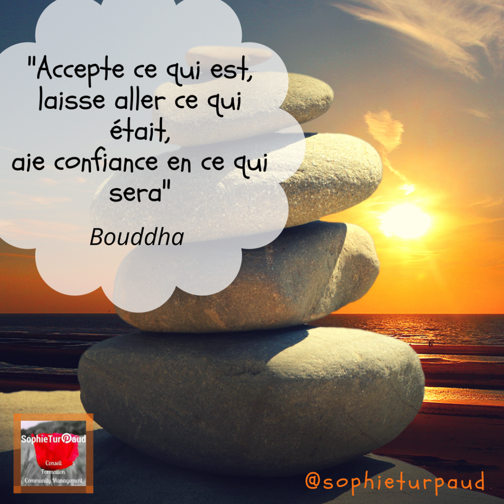 _Accepte ce qui est, laisse aller ce qui était, aie confiance en ce qui sera_ Bouddha via @sophieturpaud