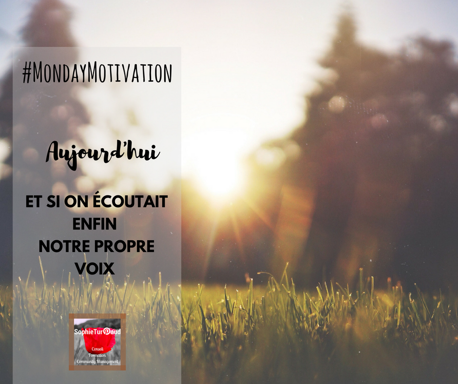 Citation du jour Archives Agence SophieTurpaud