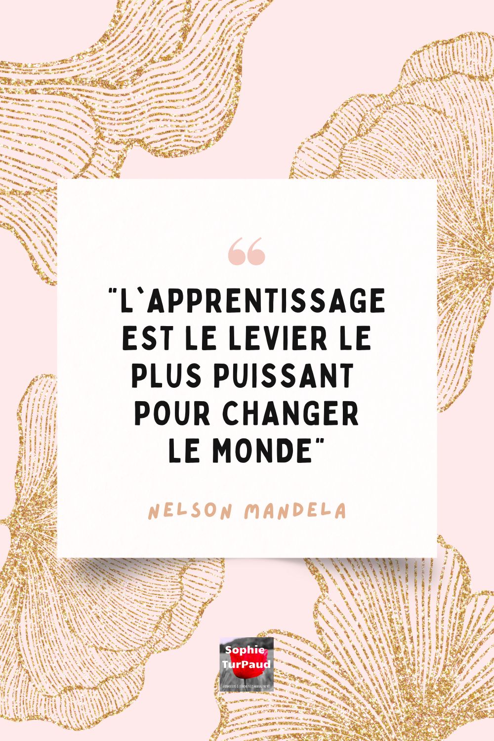 Citation apprentissage Mandela Citation apprentissage Mandela