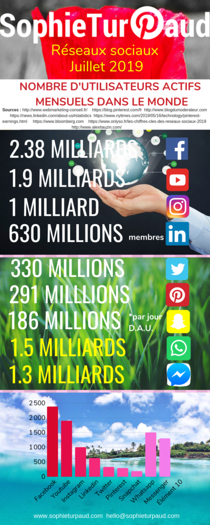 Infographie chiffres réseaux sociaux juillet 2019 via @sophieturpaud #socialmedia #reseauxsociaux 