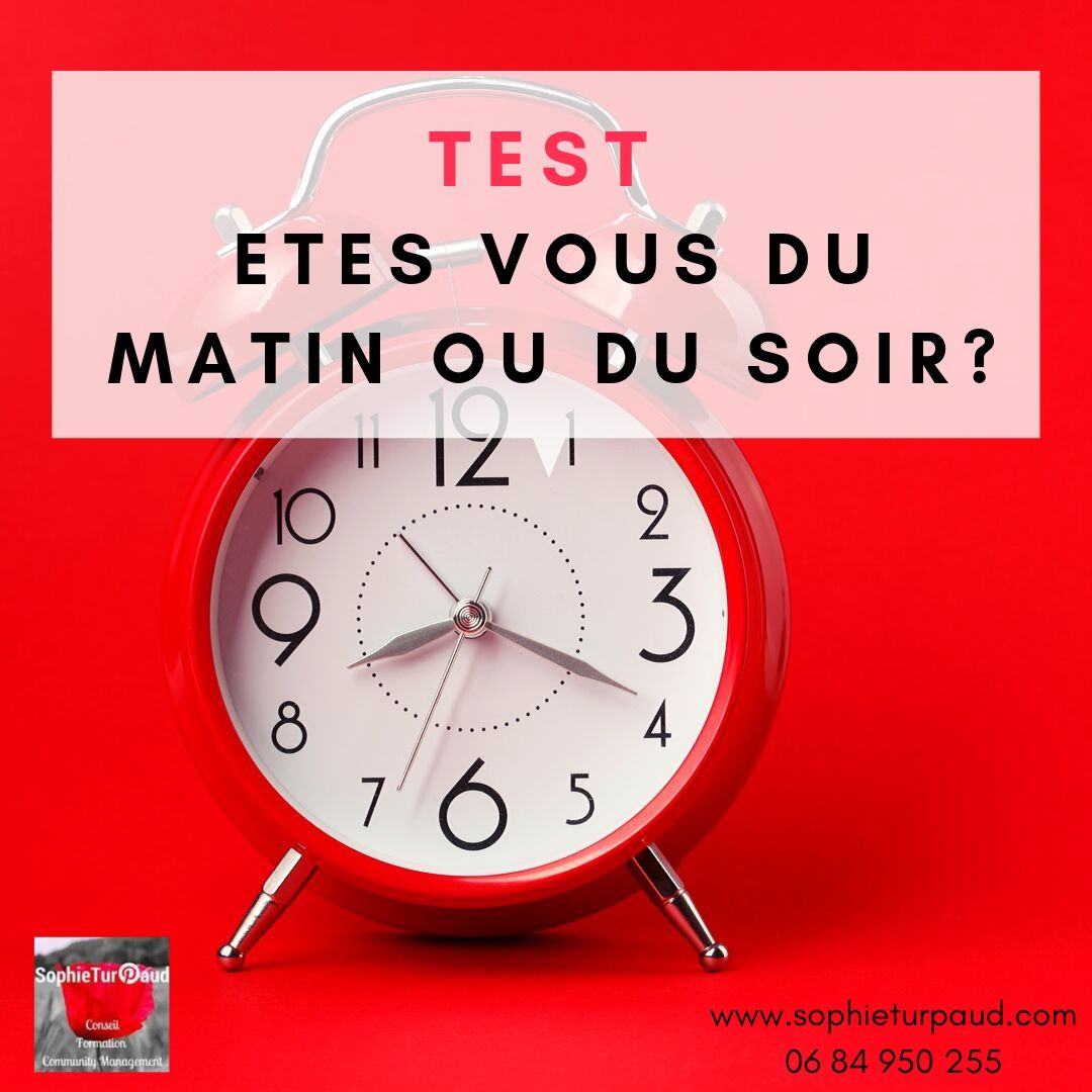 Test : êtes vous du matin ou du soir ? via @sophieturpaud #bienetre #entrepreneur #QVT