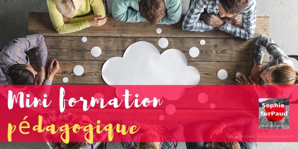 Mini Formation pédagogique via @sophieturpaud - Agence SophieTurpaud