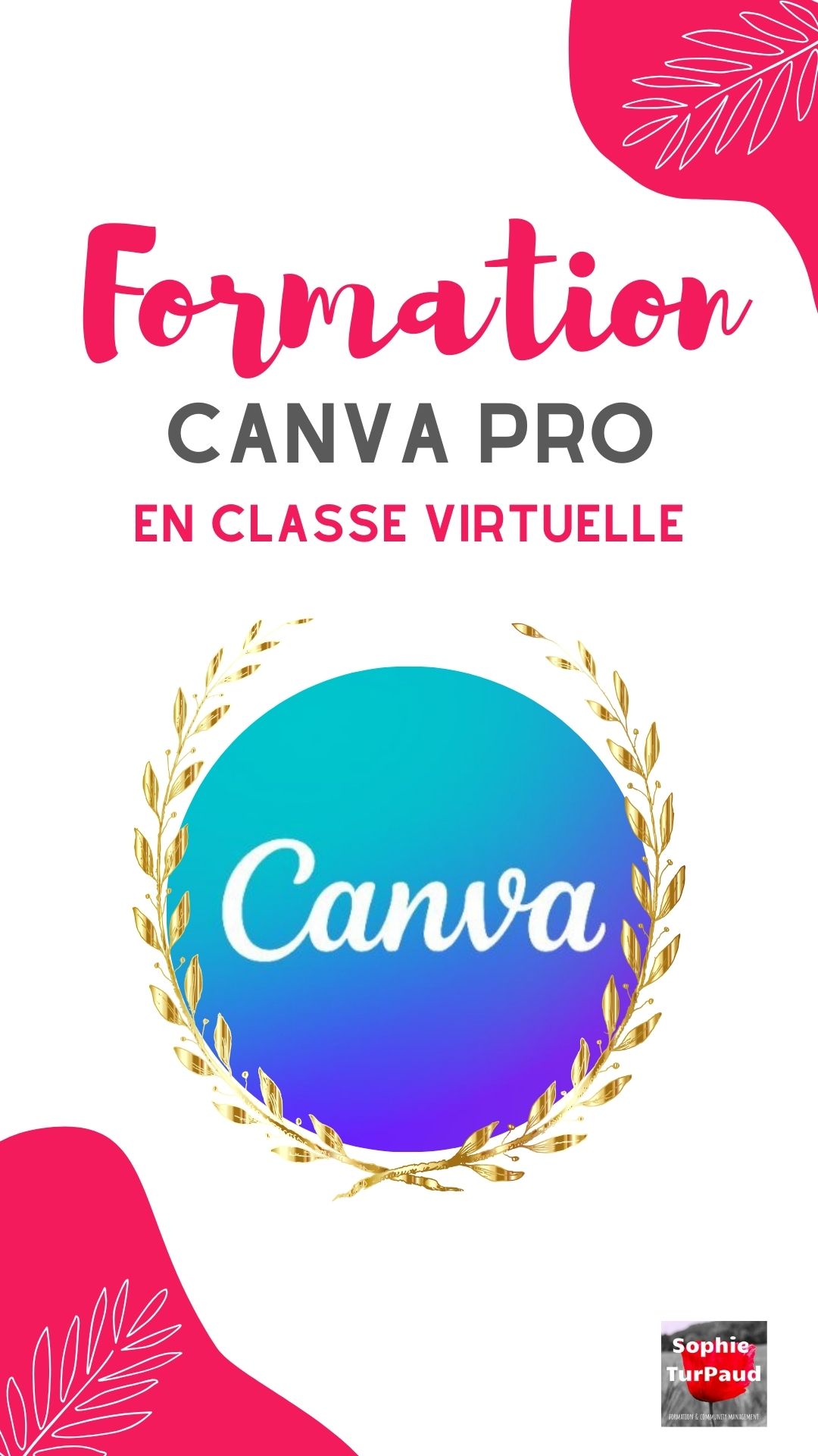 Formation Canva pro en classe virtuelle