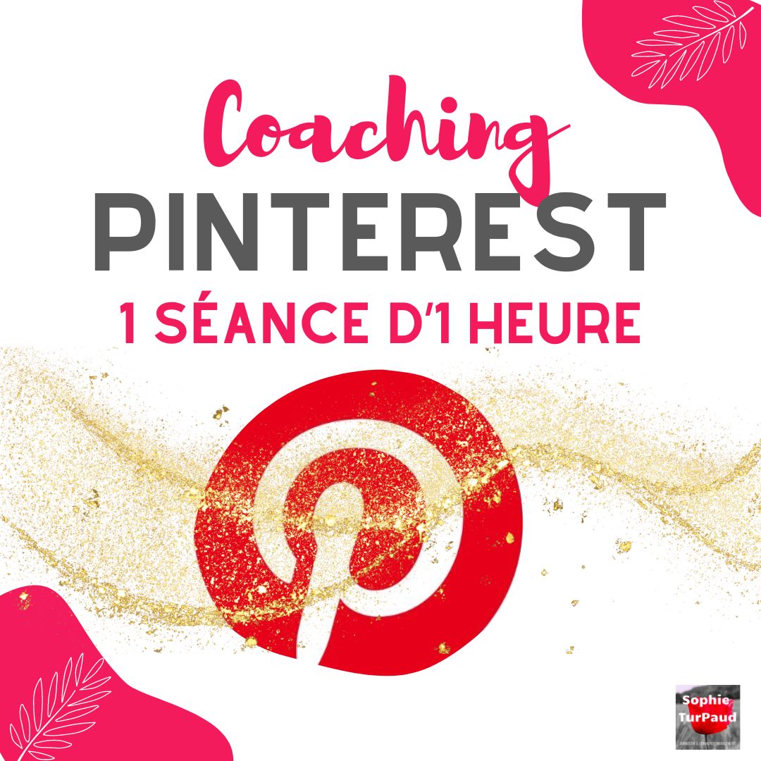 1 h Coaching Pinterest