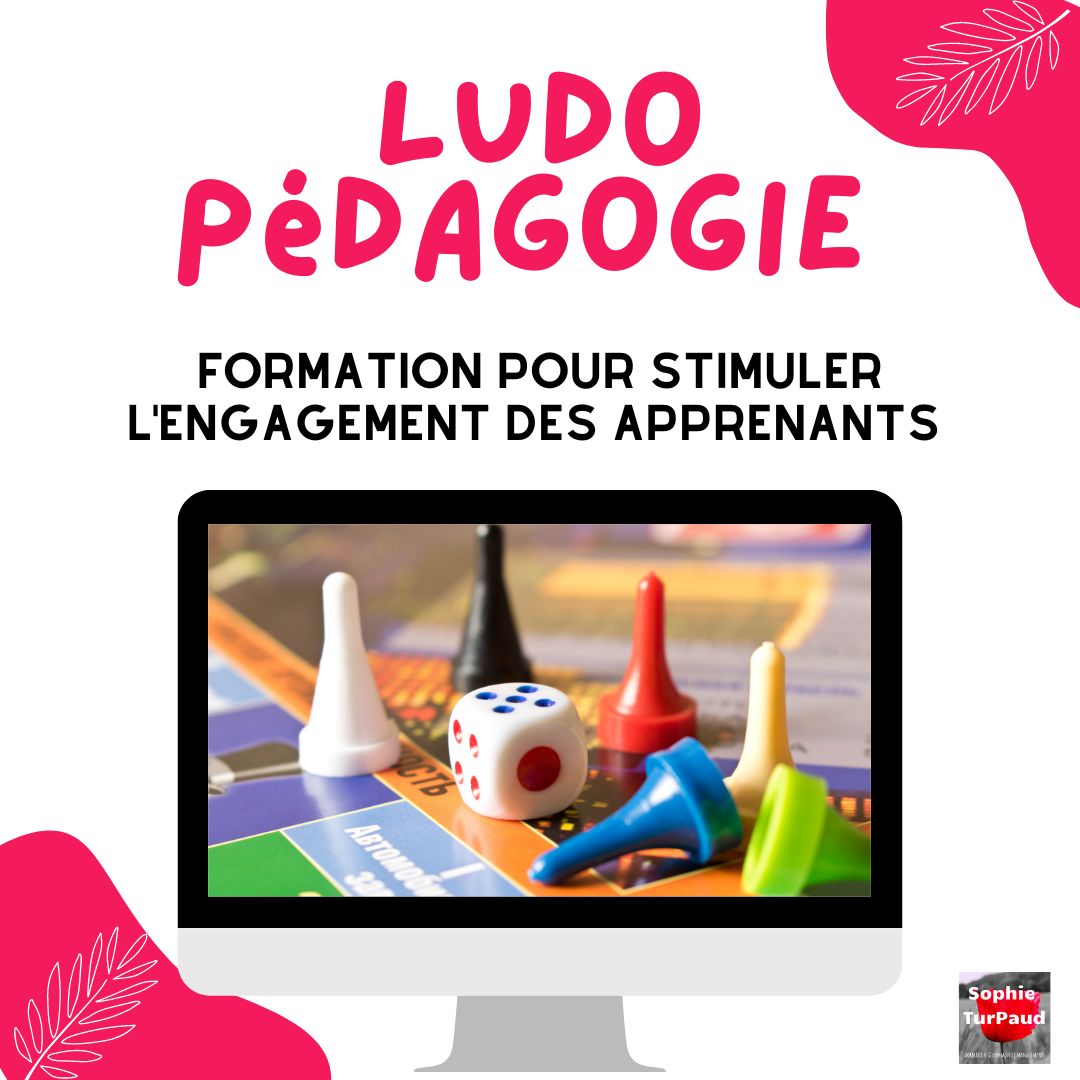 Formation Ludo pédagogie 