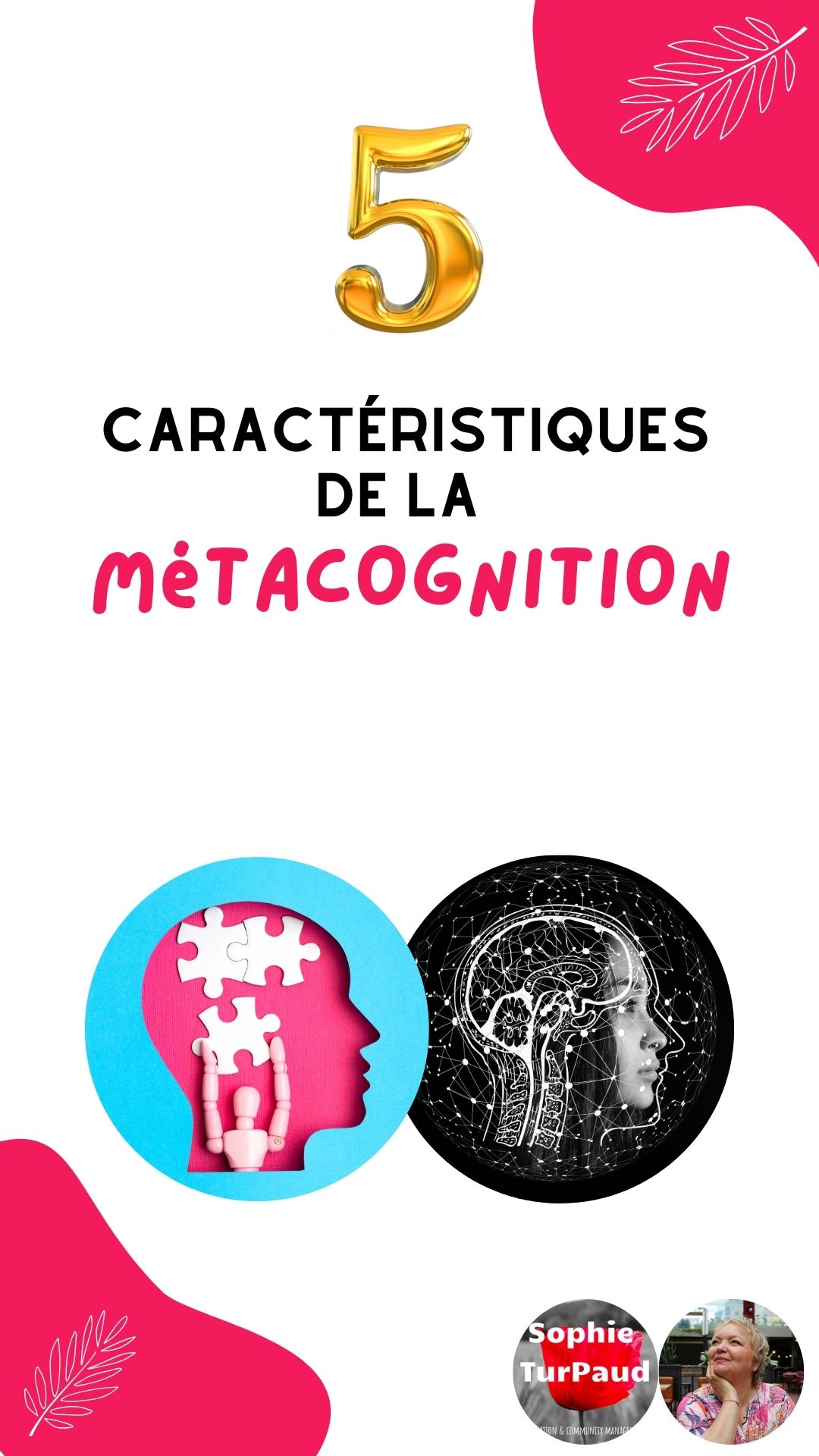 5 caractéristiques de la métacognition 