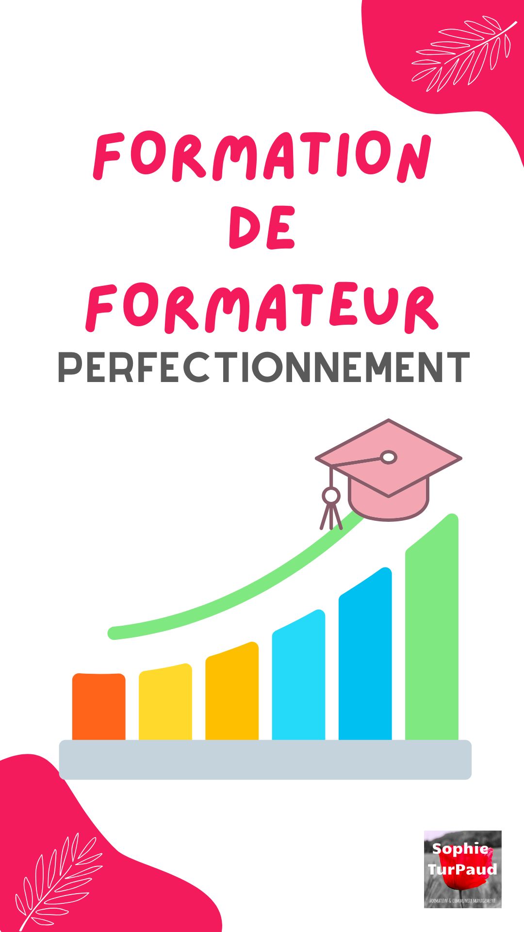 Formation de formateur Perfectionnement