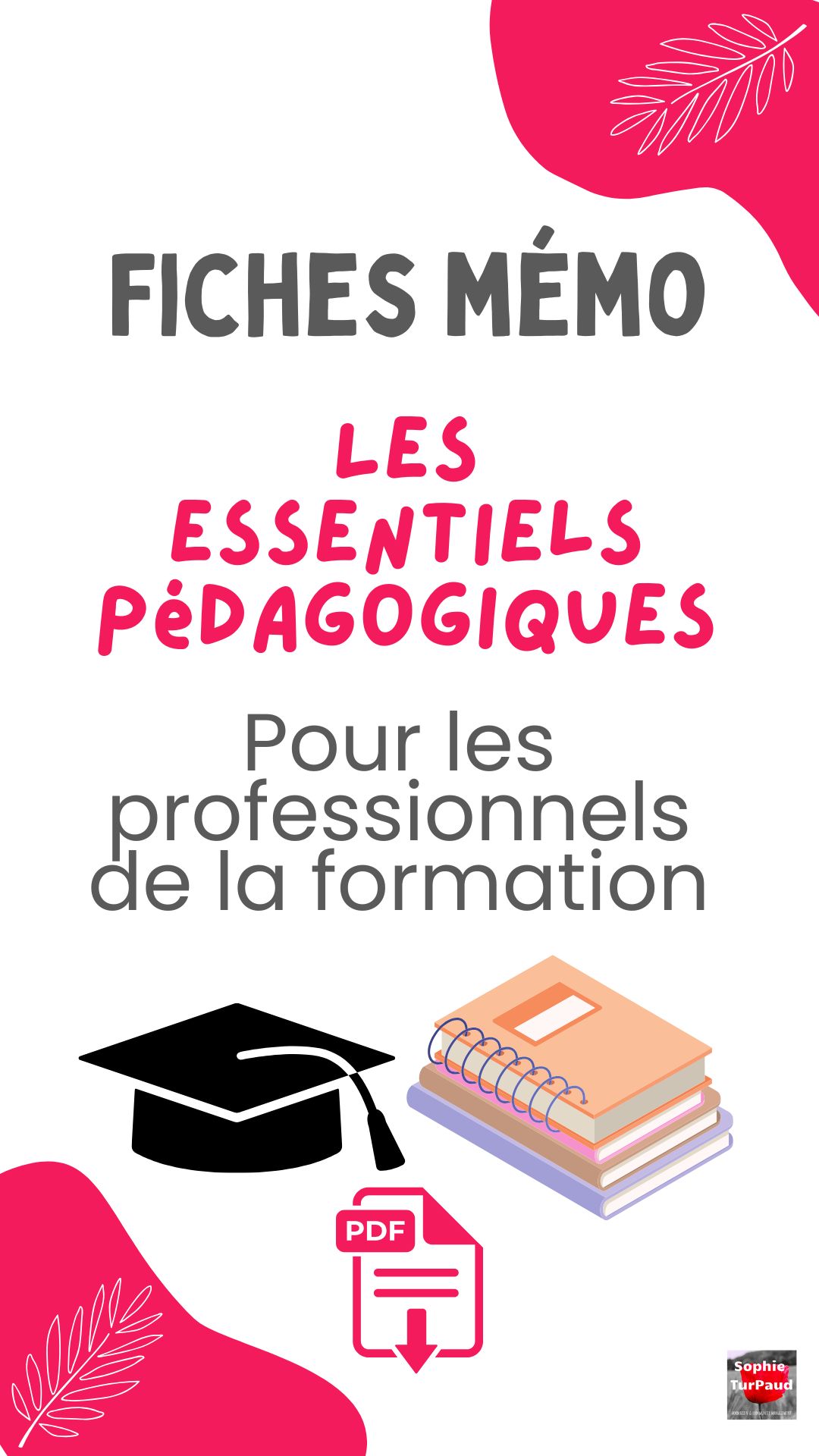 Fiches mémo les essentiels pédagogiques