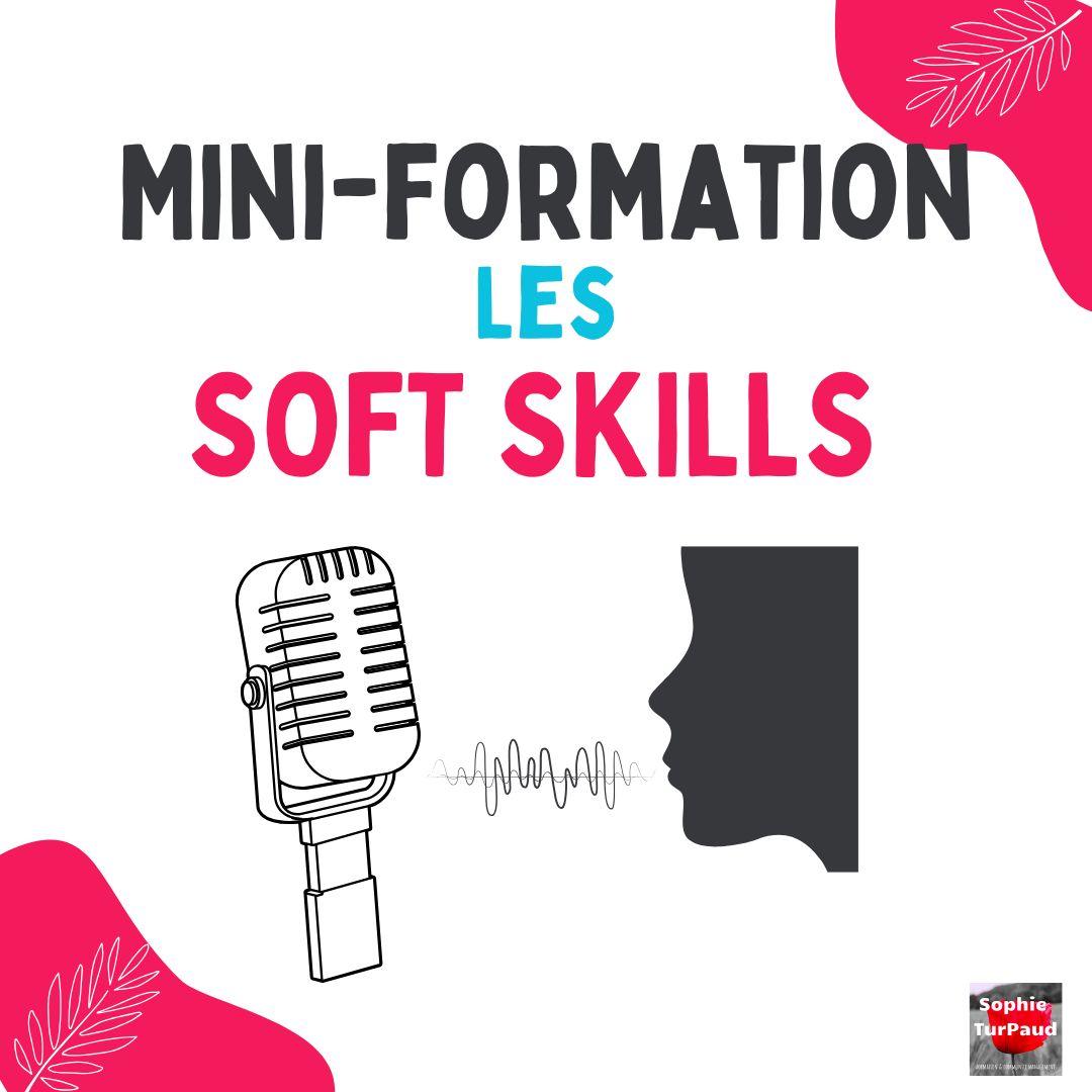Mini formation les Soft Skills